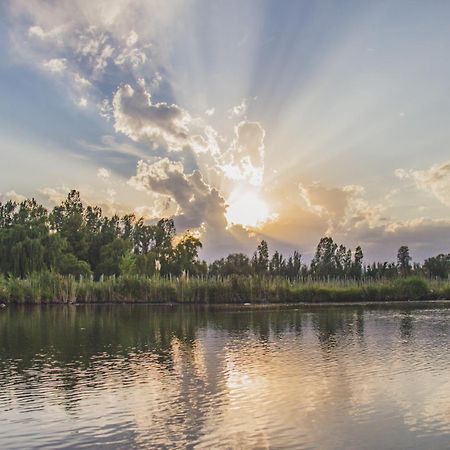 Postales Boutique Winery Hotel - Valle De Uco Колония-лас-Росас Экстерьер фото