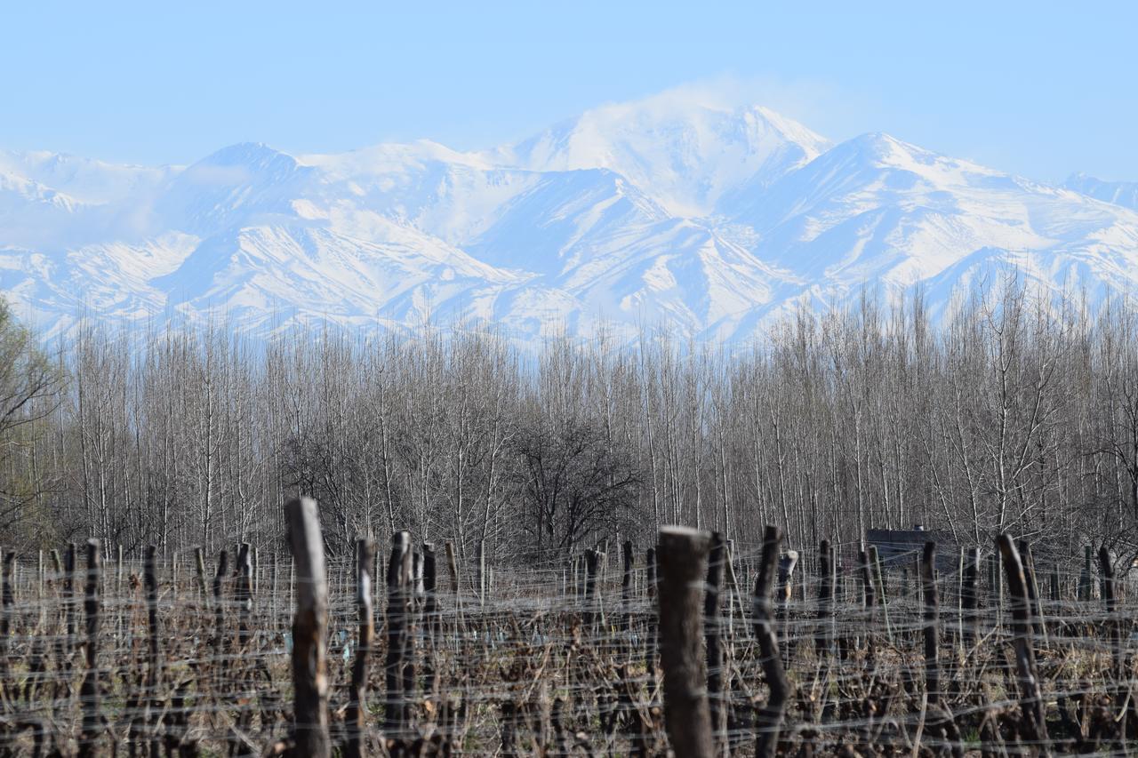 Postales Boutique Winery Hotel - Valle De Uco Колония-лас-Росас Экстерьер фото