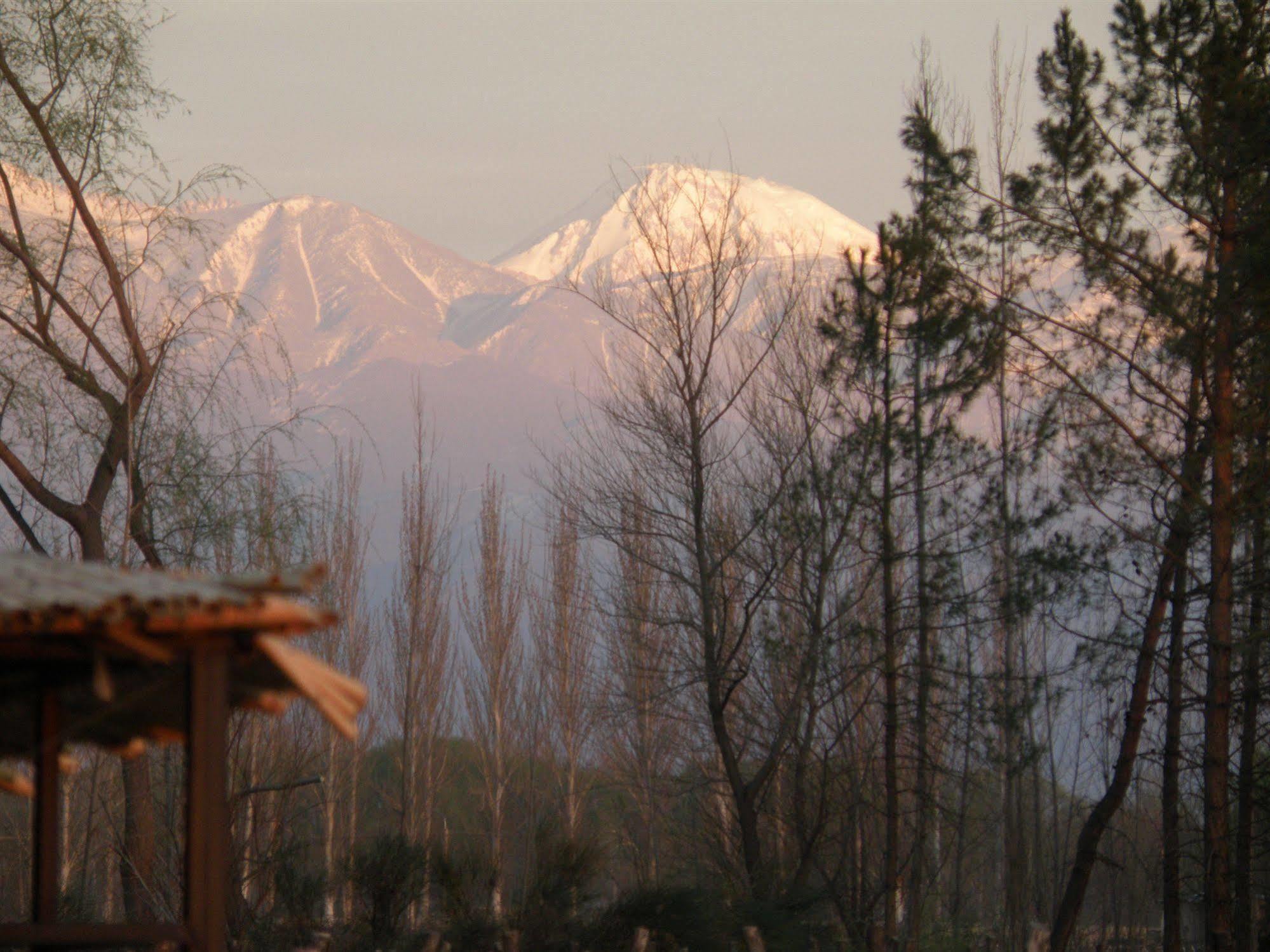 Postales Boutique Winery Hotel - Valle De Uco Колония-лас-Росас Экстерьер фото