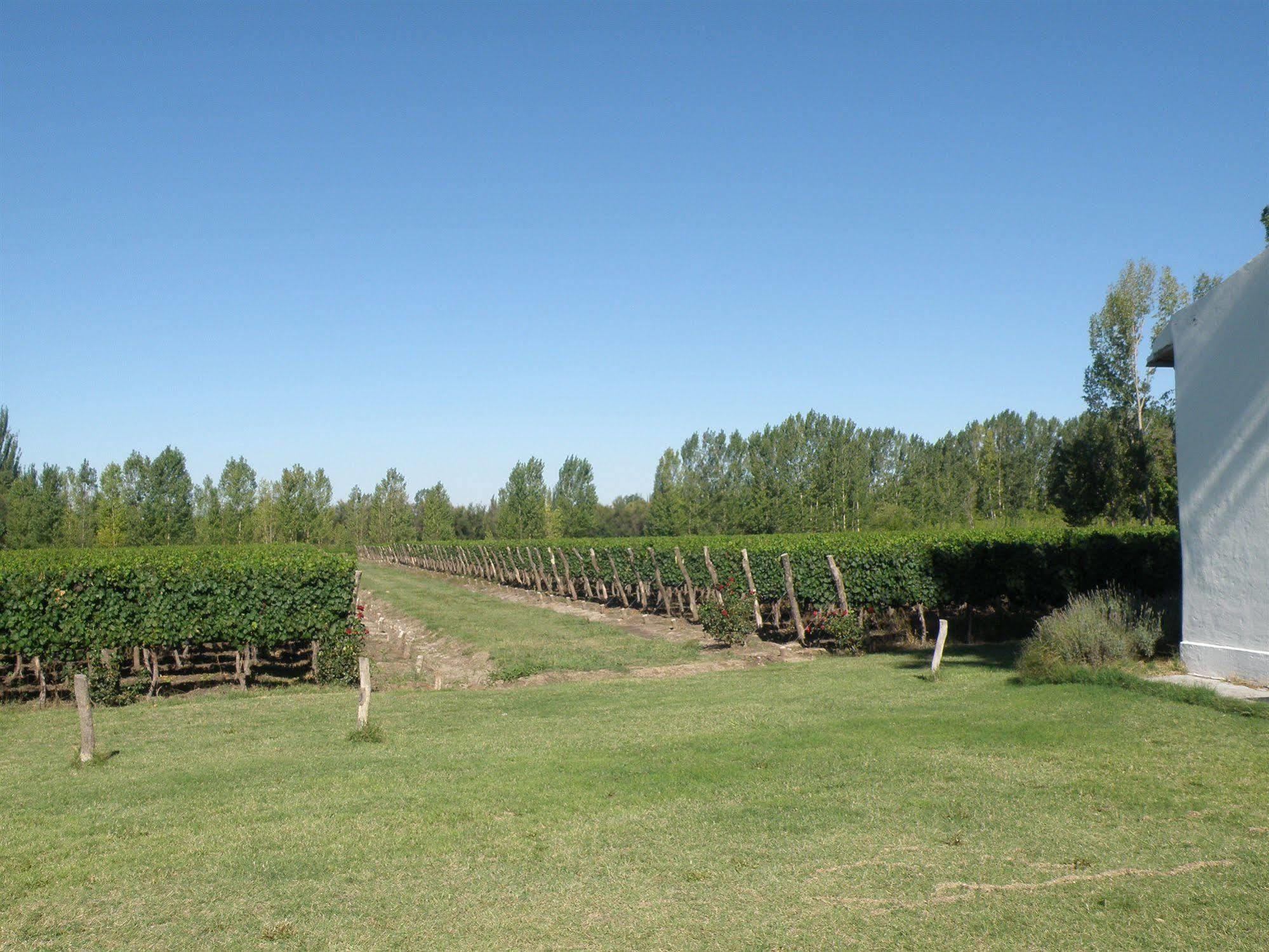 Postales Boutique Winery Hotel - Valle De Uco Колония-лас-Росас Экстерьер фото