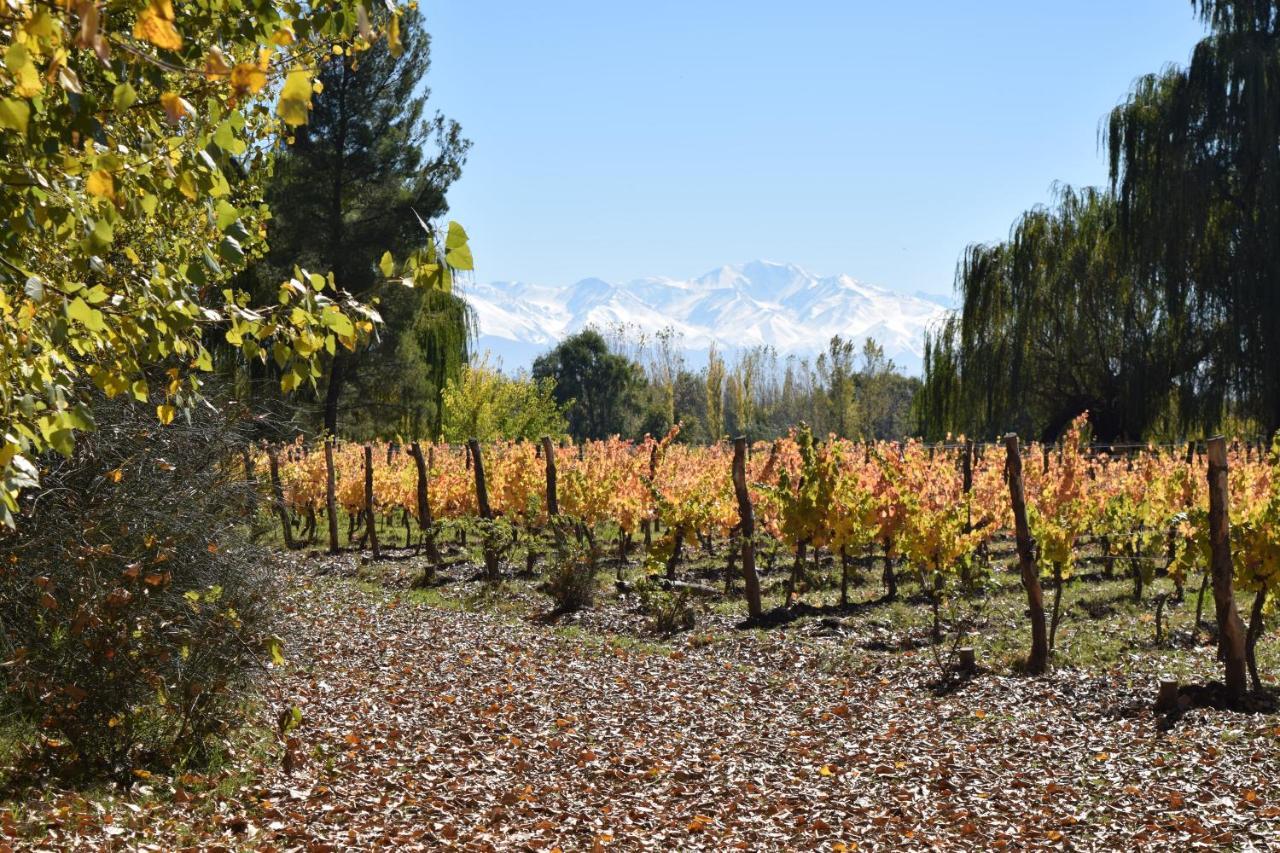 Postales Boutique Winery Hotel - Valle De Uco Колония-лас-Росас Экстерьер фото
